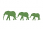 Elefantenfamilie