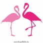 Flamingo-Paar