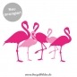 Flamingo-Paar
