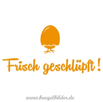Frisch geschlüpft!