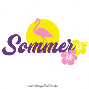 Flamingo im Sommer