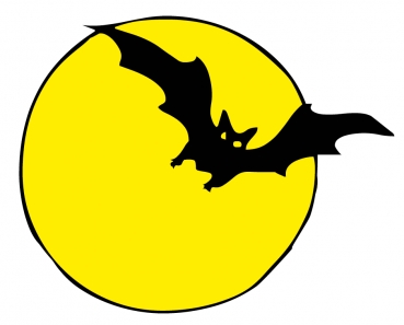 Fledermaus im Mondschein