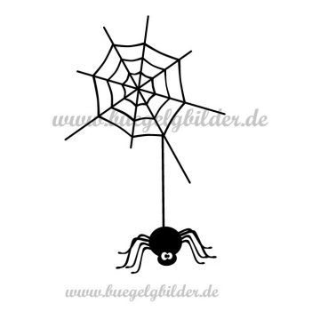Spinne 