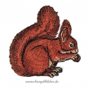Eichhörnchen Patch zum Aufbügeln