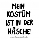 Mein Kostüm ist in der Wäsche!