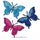 Aufbügler "3 Schmetterlinge" Blau-Violet