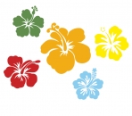 Buntes Set "Orchideen"