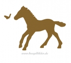 Fohlen mit Schmetterling