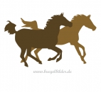 2 Pferde im Galopp