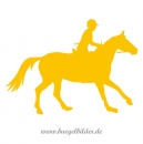 Pferd und Reiter III