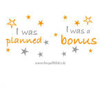 Zwillingsmotiv: Planned + Bonus